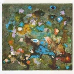 ‘The Rainbow Collection’ by Paul Dowden