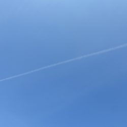 Walking Group – Week 11: Rouken Glen