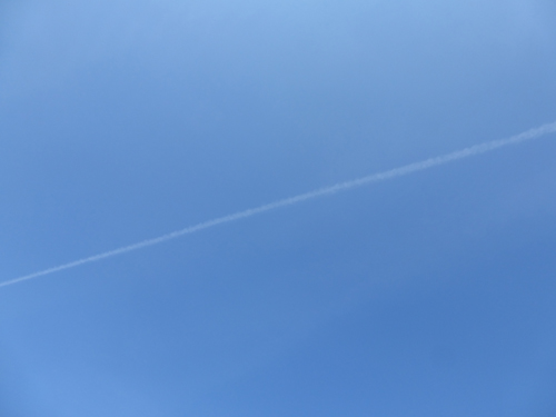 Walking Group – Week 11: Rouken Glen