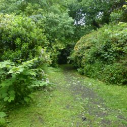 Walking Group – Week 12 - Pollok Park