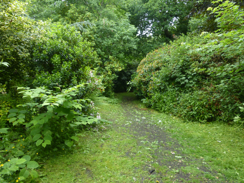 Walking Group – Week 12 - Pollok Park