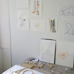 ReSearch Residency June 2016 – Shireen Taylor