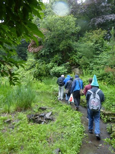 Walking Group – Week 13 - Victoria Park