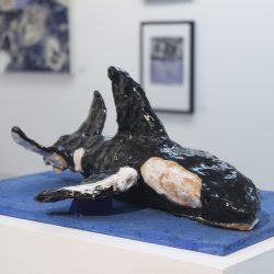 'Free Willy' by Ryan Coyle