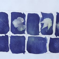 Printmaking Workshops at the Hidden Gardens - Tramway