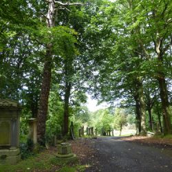 Walking Group – Week 15 - Linn Park