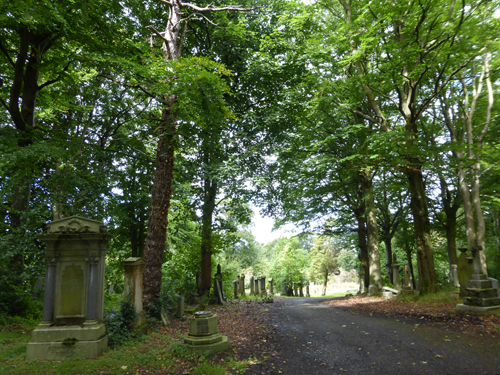 Walking Group – Week 15 - Linn Park