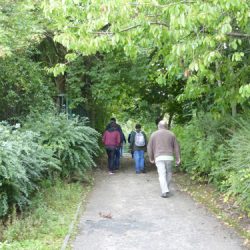 Walking Group – Week 16 Auchinlea Park