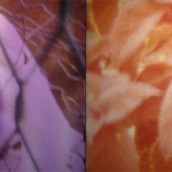 Screen Shot 2016 8mm transfer, Lea Cummings and Celine Mcilmunn