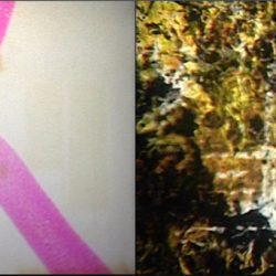 Screen Shot 8mm transfer, George Williamson and Rainoir Clark