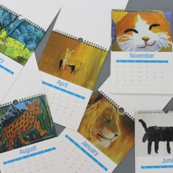 Shop Item of the Week – 2017 Cat Calendar