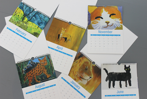 Shop Item of the Week – 2017 Cat Calendar