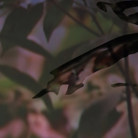 Walking Group – Week 18 Kelvingrove Art Gallery & Museum