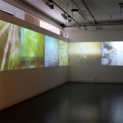 installation shot: Rainoir Clark, Lea Cummings, Alexander Storey Gordon, Simon McAuley, Celine Mcilmunn and George Williamson