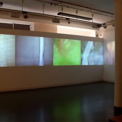 installation shot: Rainoir Clark, Lea Cummings, Alexander Storey Gordon, Simon McAuley, Celine Mcilmunn and George Williamson