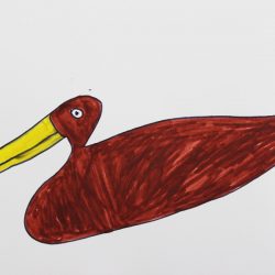 Duck II