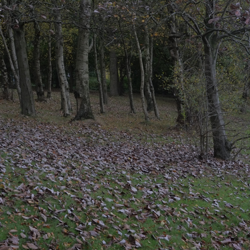 Walking Group – Week 19 - Bellahouston Park