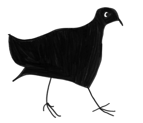 birds