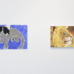 'Sleepy Cat' by Peter Johnstone & 'Golden Lion' by Andrew Yuile