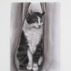 'Yoonett in charcoal' by Christina SooJa Massey