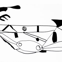 Bicycle' by Scott Smith