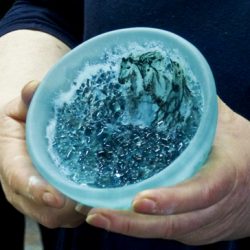 Walking Group – Week 6: WASPS