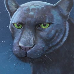 Spirit of the Forest