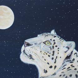 Snow Leopard’ by Anji Goddard