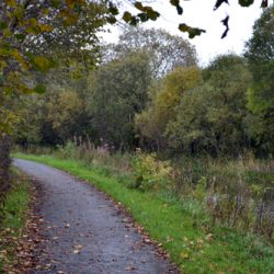 Walking Group – Lambhill Stables