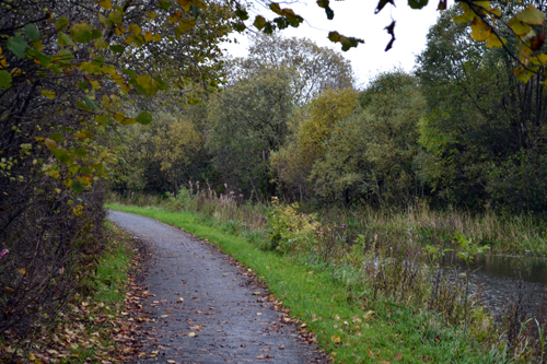 Walking Group – Lambhill Stables
