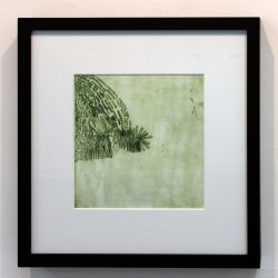 Artwork of the Week by Amna Sharif