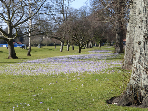 Walking Group-week 4-Perth