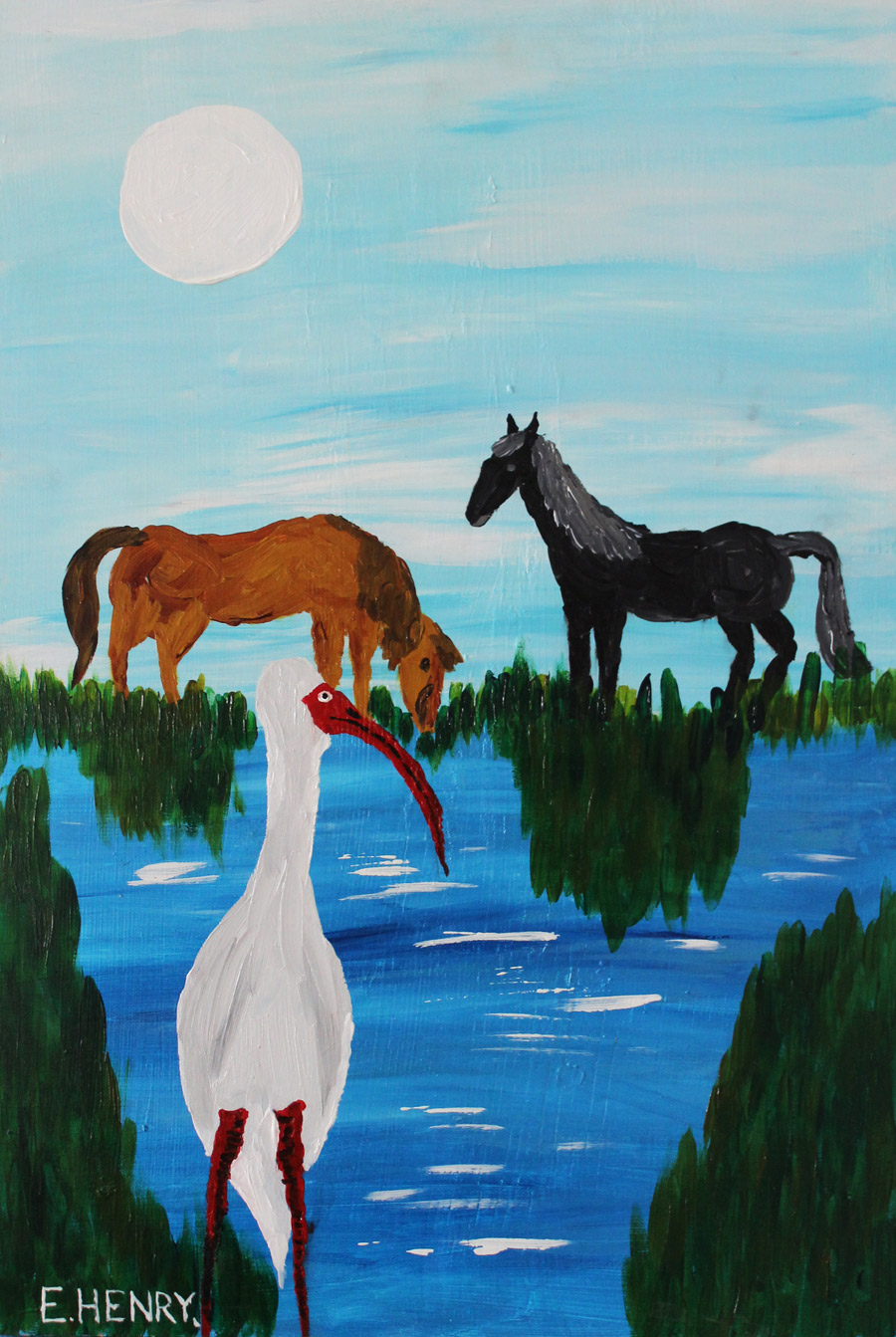 Edward Henry: Wild Mustangs