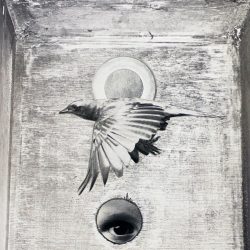 Earth Echo Affective Reflection