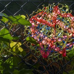 Accessible handmade woven art hanging at Linn Park
