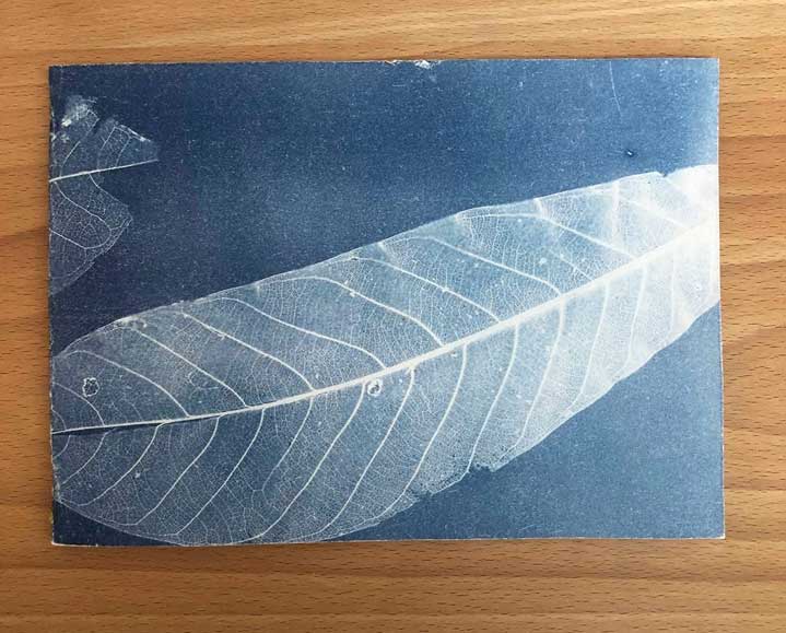 Cyanotype notebook