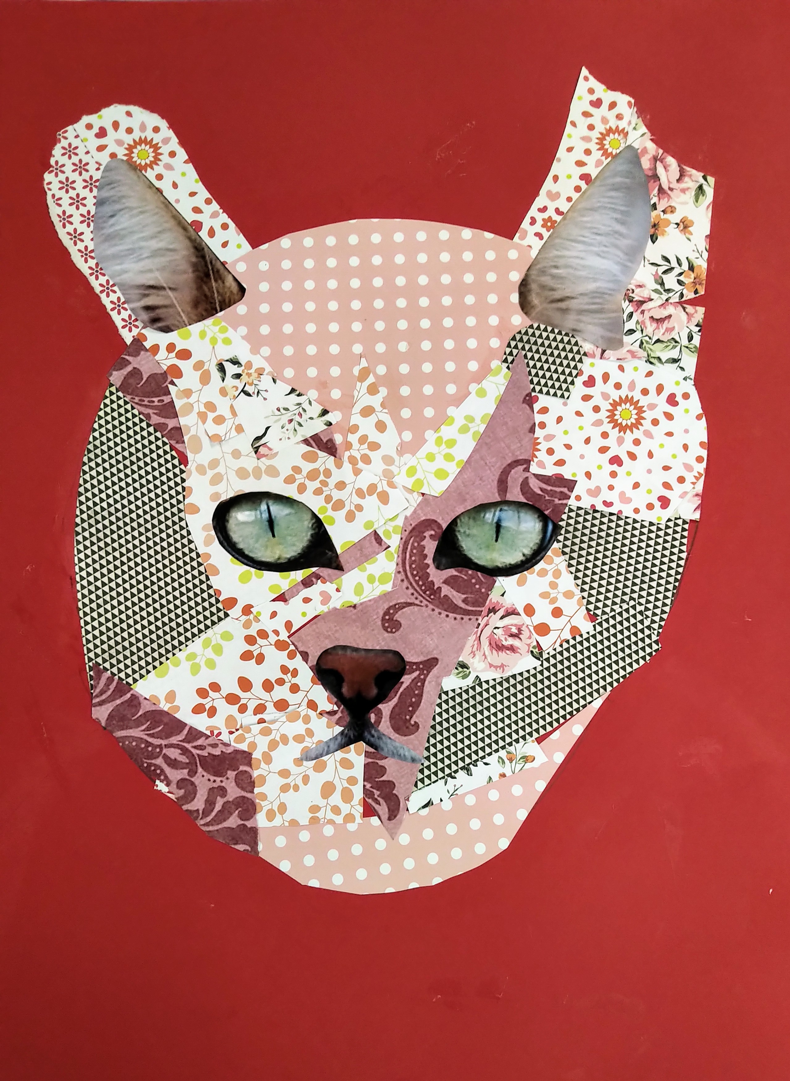 Abercorn School workshop