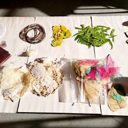 Cyanotype Workshop Glasgow Disability Alliance