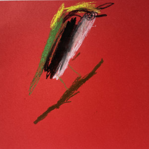 Bird 3