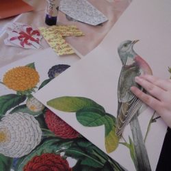 Project Ability On the Road – Aberdeen