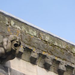 Walking Group – Week 19