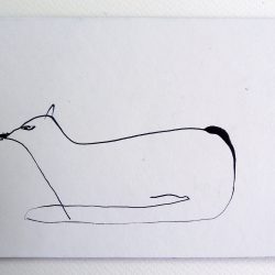 Wintercoat Fox by Scott Smith
