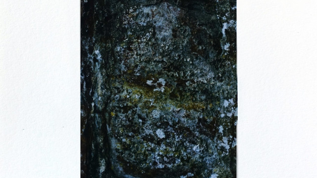 Simon McAuley