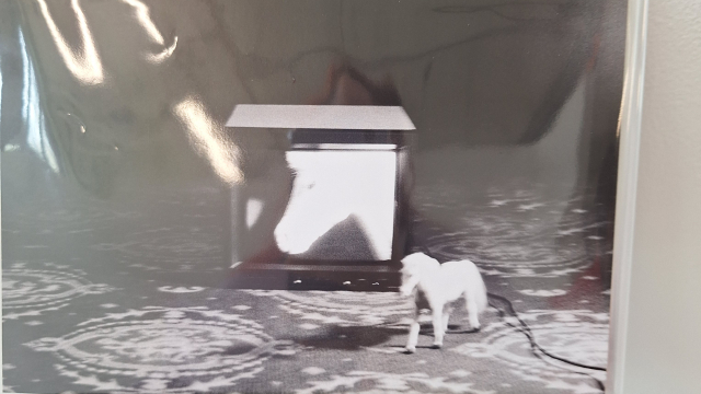 GSA24 visual art colalge