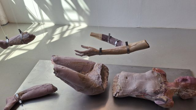 GSA24 body sculpture