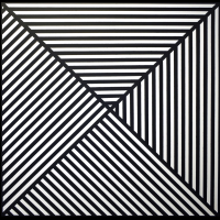A black and white image. Diagonal lines criss-cross the image and many more evenly spaced lines, some horizonal and some diagonal add to an optical effect.
