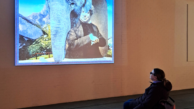 A person sits in a wheelchair while looking at an illuminated piece of art. The artwork is a collage of an elephant over an old time-y portrait and a landscape.